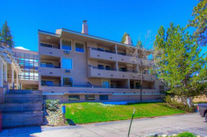 Lakelandia by Lake Tahoe Accomodations